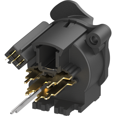 XLR-ESD-Push_NC5FAV-SW-AE_persp back_RGB_WEB