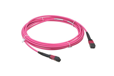 24-MTP-MTO-male-elite-Cable